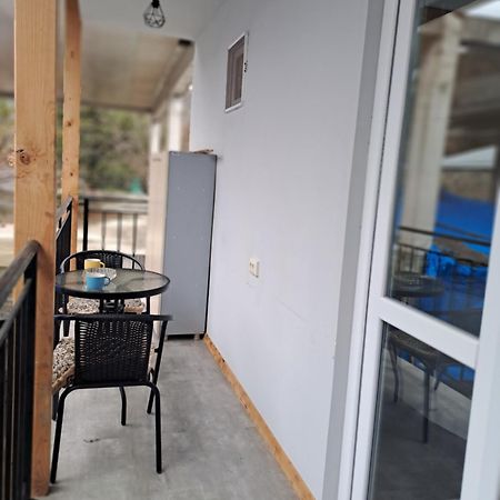 Ira & Vaso'S Guest House Borjomipark エクステリア 写真