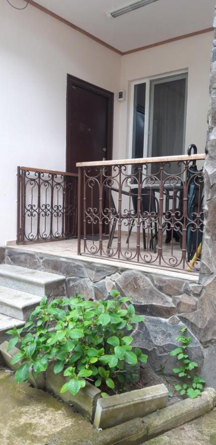 Ira & Vaso'S Guest House Borjomipark エクステリア 写真