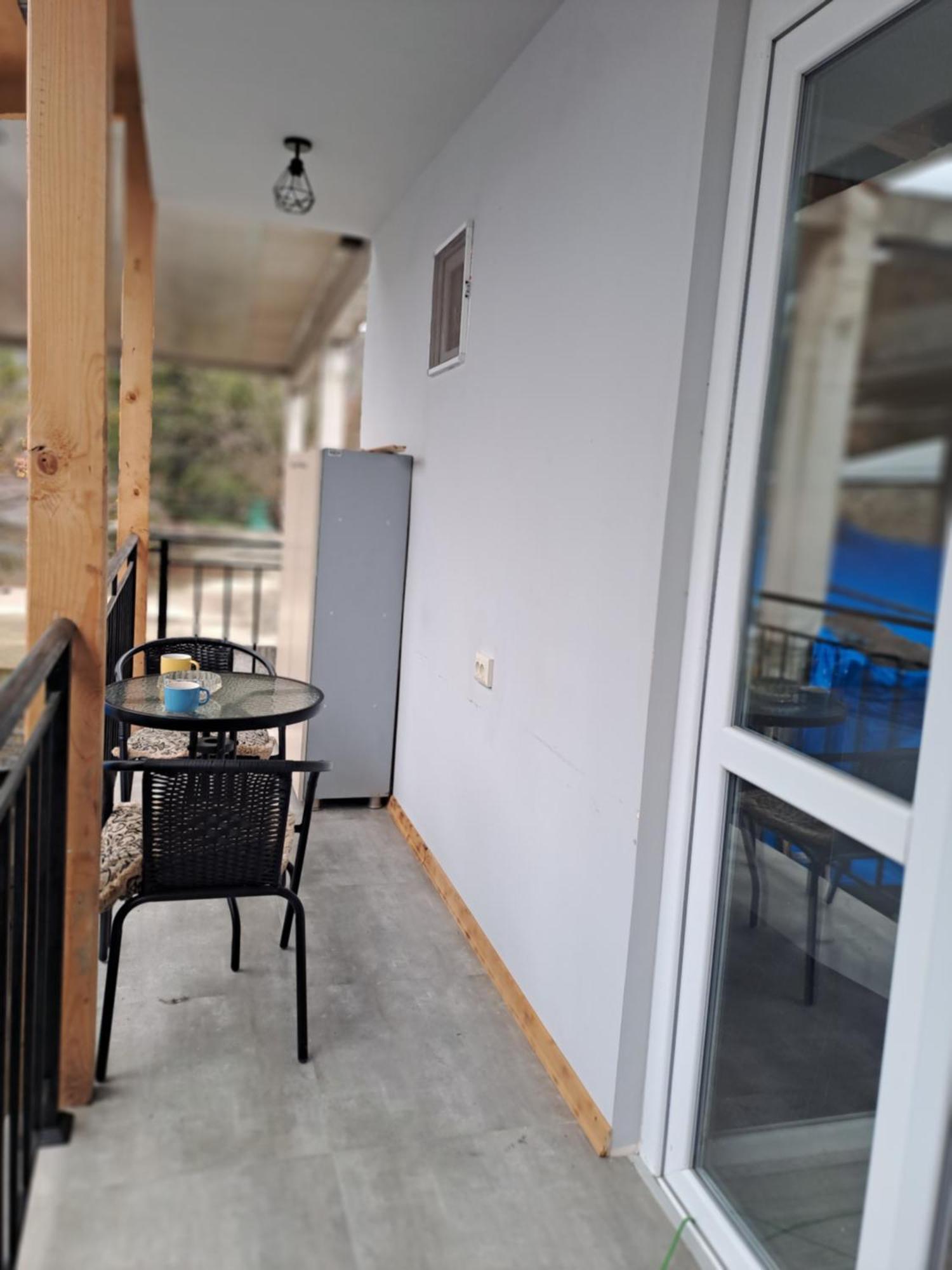 Ira & Vaso'S Guest House Borjomipark エクステリア 写真