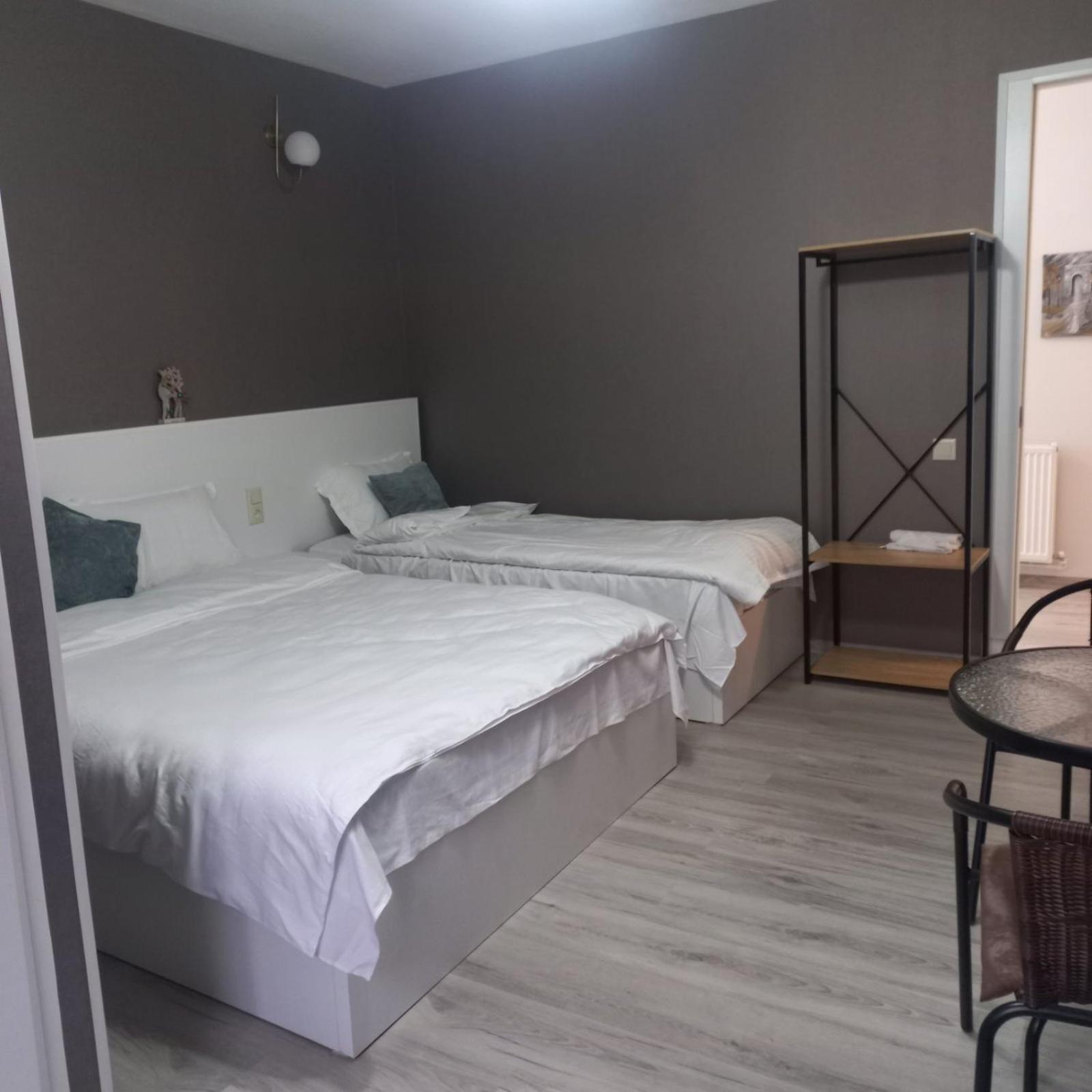 Ira & Vaso'S Guest House Borjomipark 部屋 写真