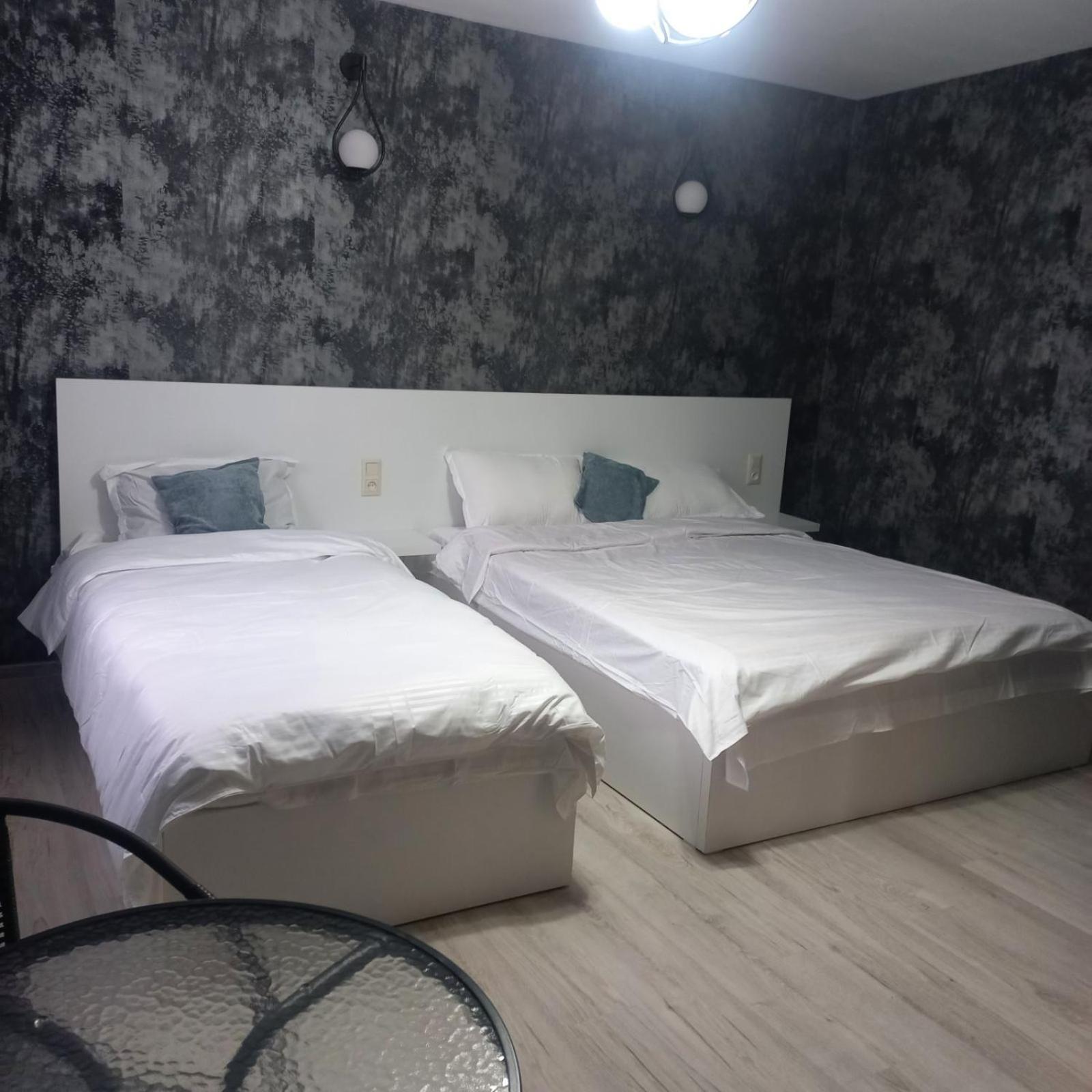 Ira & Vaso'S Guest House Borjomipark 部屋 写真