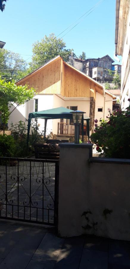 Ira & Vaso'S Guest House Borjomipark エクステリア 写真